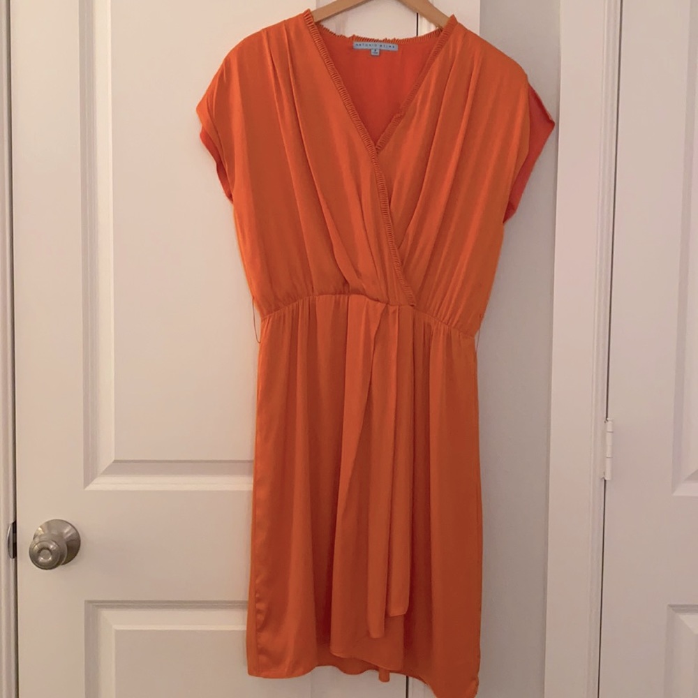 Antonio Melanie Vintage Dress